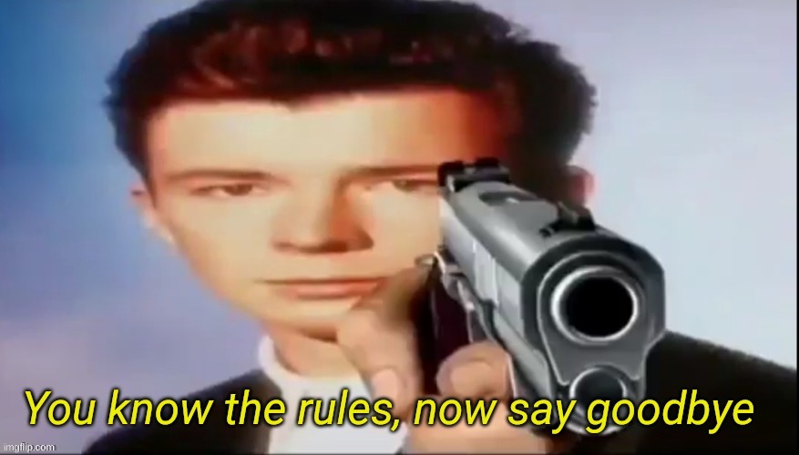 You know the rules, now say goodbye | image tagged in you know the rules now say goodbye | made w/ Imgflip meme maker