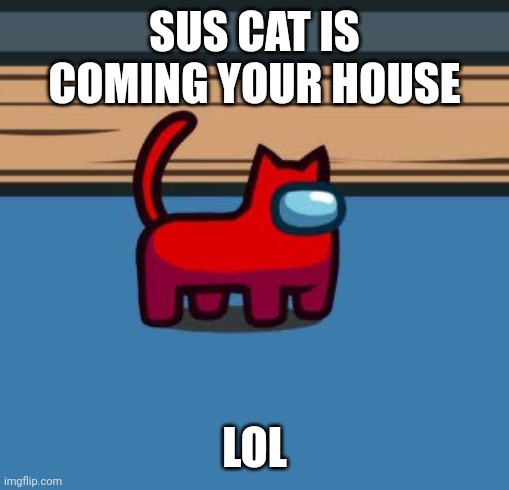 sus cat | SUS CAT IS COMING YOUR HOUSE; LOL | image tagged in sus,cat | made w/ Imgflip meme maker