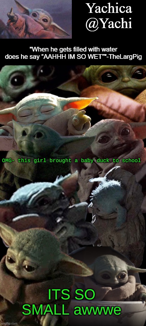 Yachi's baby Yoda temp | OMG- this girl brought a baby duck to school; ITS SO SMALL awwwe | image tagged in yachi's baby yoda temp | made w/ Imgflip meme maker