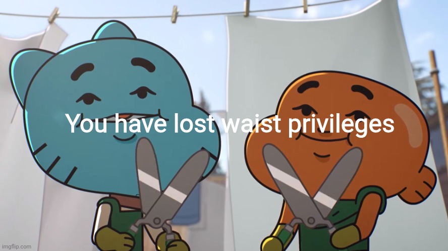 You have lost _ privilege | You have lost waist privileges | image tagged in you have lost _ privilege | made w/ Imgflip meme maker
