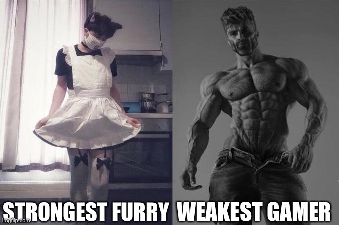Strongest Fan VS Weakest Fan | STRONGEST FURRY; WEAKEST GAMER | image tagged in strongest fan vs weakest fan | made w/ Imgflip meme maker
