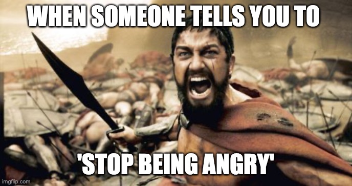 i choose to be angy so i will be angy | WHEN SOMEONE TELLS YOU TO; 'STOP BEING ANGRY' | image tagged in memes,sparta leonidas | made w/ Imgflip meme maker