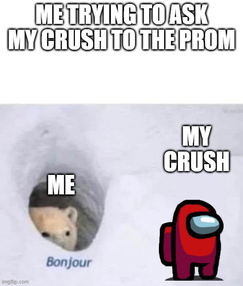 Bonjour | ME TRYING TO ASK MY CRUSH TO THE PROM; MY CRUSH; ME | image tagged in bonjour | made w/ Imgflip meme maker