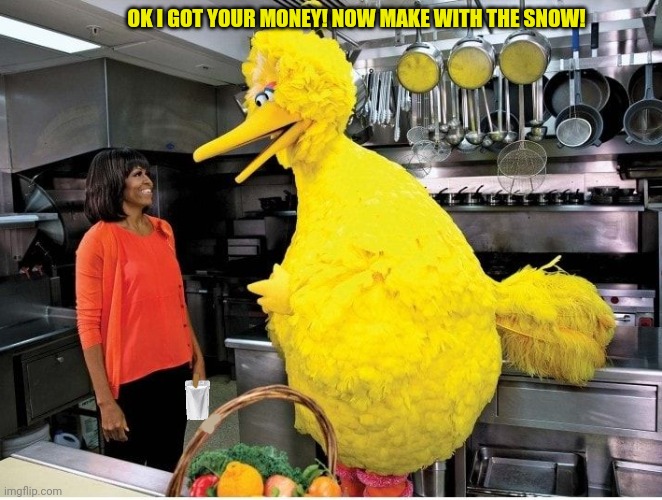 Sesame street lost episodes | OK I GOT YOUR MONEY! NOW MAKE WITH THE SNOW! | image tagged in sesame street,lost,episodes,drug dealer,big bird | made w/ Imgflip meme maker