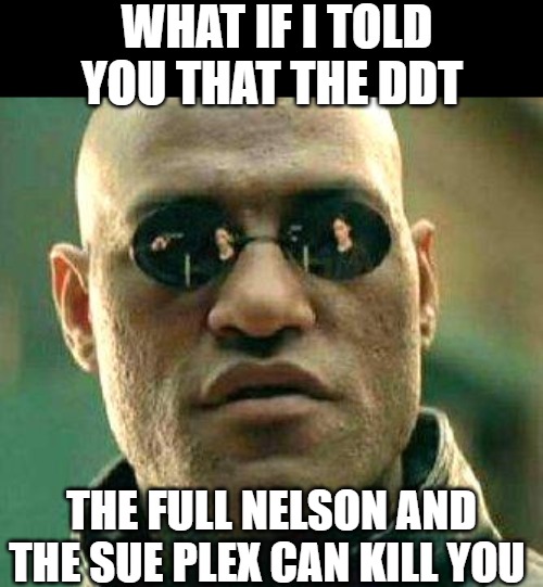 real talk no caps | WHAT IF I TOLD YOU THAT THE DDT; THE FULL NELSON AND THE SUE PLEX CAN KILL YOU | image tagged in what if i told you,matrix,matrix morpheus,the matrix | made w/ Imgflip meme maker