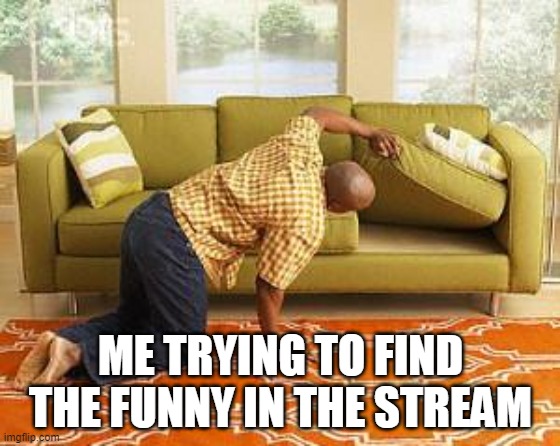 searching  | ME TRYING TO FIND THE FUNNY IN THE STREAM | image tagged in searching | made w/ Imgflip meme maker