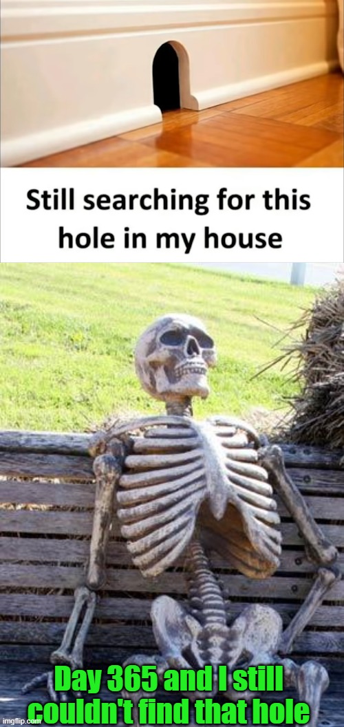 Day 365 and I still couldn't find that hole | image tagged in memes,waiting skeleton | made w/ Imgflip meme maker