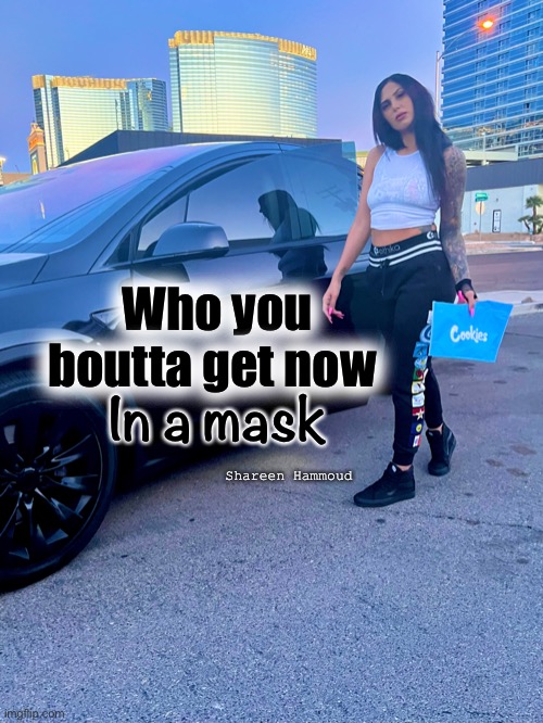 Cookies | Who you boutta get now; In a mask; Shareen Hammoud | image tagged in cookies,cookiesenterprises,invest,hustle,power | made w/ Imgflip meme maker