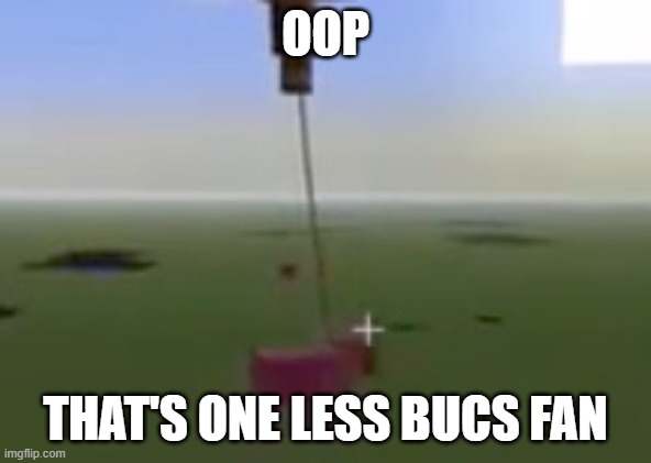 Hanging Pig From Minecraft | OOP THAT'S ONE LESS BUCS FAN | image tagged in hanging pig from minecraft | made w/ Imgflip meme maker