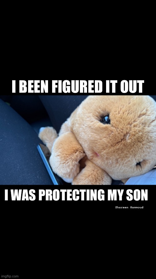 Fighter | I BEEN FIGURED IT OUT; I WAS PROTECTING MY SON; Shareen Hammoud | image tagged in fighter,crime,murder,helpline,abuse | made w/ Imgflip meme maker