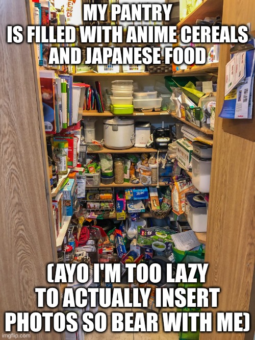 pantry | MY PANTRY
IS FILLED WITH ANIME CEREALS
AND JAPANESE FOOD; (AYO I'M TOO LAZY TO ACTUALLY INSERT PHOTOS SO BEAR WITH ME) | image tagged in pantry | made w/ Imgflip meme maker