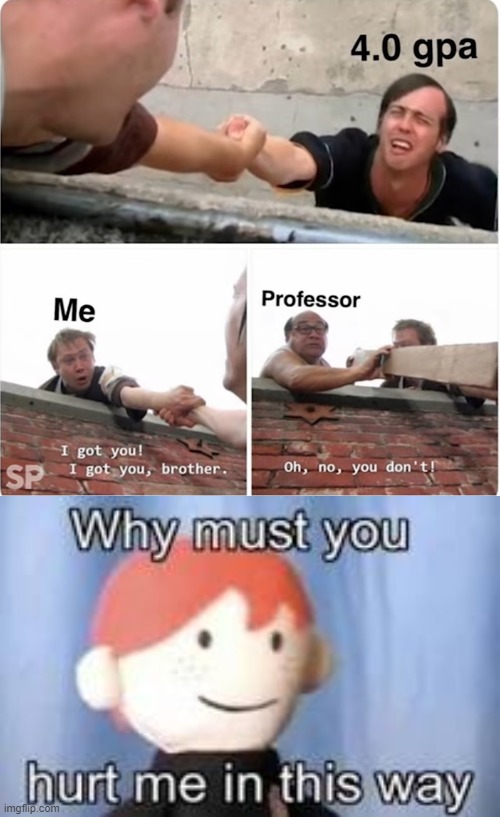 image tagged in why must you hurt me in this way | made w/ Imgflip meme maker