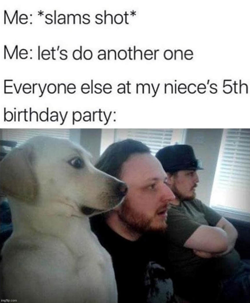 Know what party you are at. | image tagged in surprised dog,dark humor | made w/ Imgflip meme maker