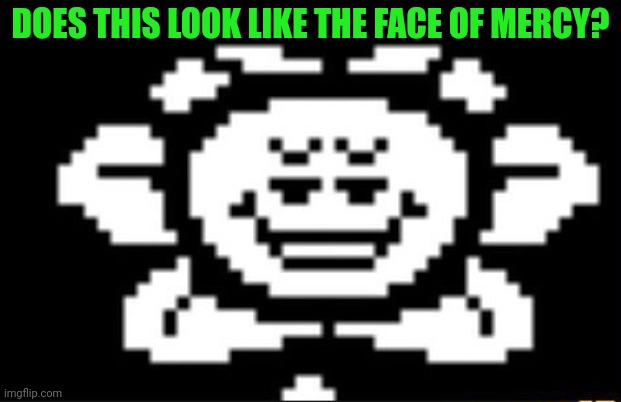 Flowey is too happy... | DOES THIS LOOK LIKE THE FACE OF MERCY? | image tagged in flowey the flower,undertale,face of mercy | made w/ Imgflip meme maker
