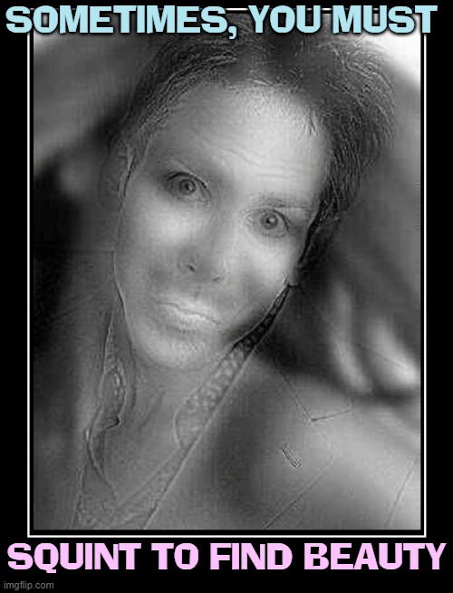 We Squint to See Better | SOMETIMES, YOU MUST; SQUINT TO FIND BEAUTY | image tagged in vince vance,optical illusion,memes,squint,truth,reality | made w/ Imgflip meme maker