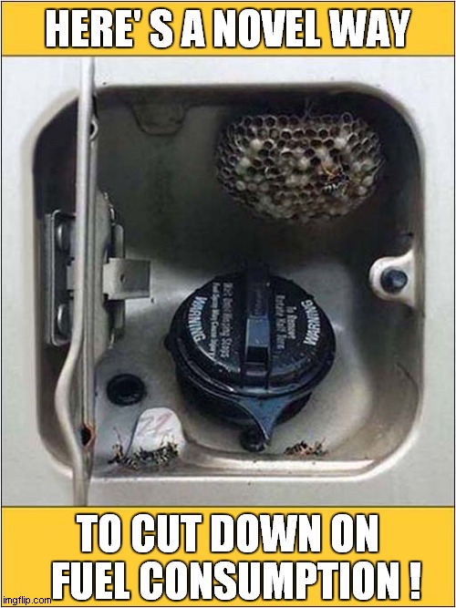 A Fuel Saving Incentive ? | HERE' S A NOVEL WAY; TO CUT DOWN ON
  FUEL CONSUMPTION ! | image tagged in fuel,gas,wasp nest,incentive | made w/ Imgflip meme maker