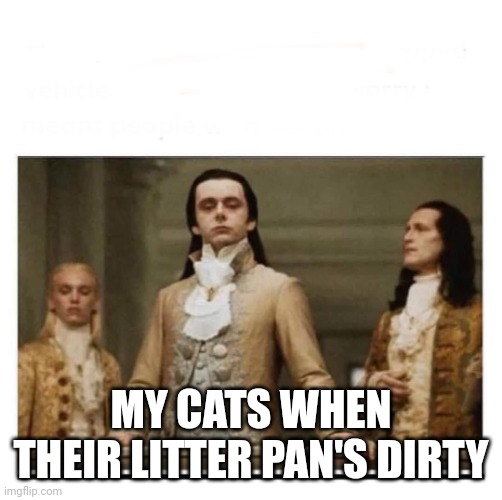 Peasants | MY CATS WHEN THEIR LITTER PAN'S DIRTY | image tagged in peasants | made w/ Imgflip meme maker