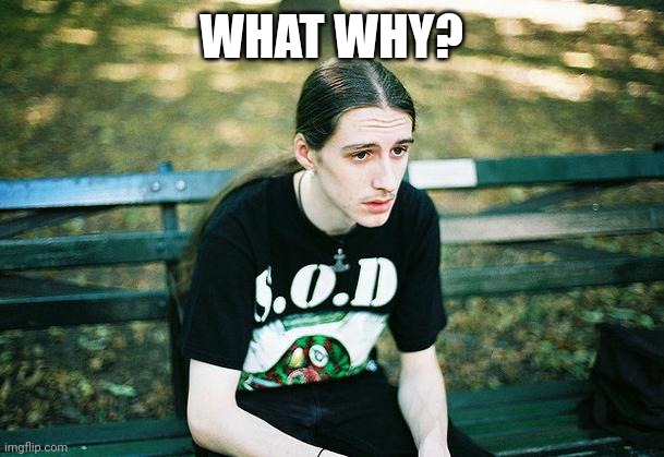 First World Metal Problems | WHAT WHY? | image tagged in first world metal problems | made w/ Imgflip meme maker