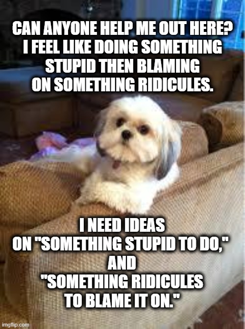 friends challenge | CAN ANYONE HELP ME OUT HERE?
I FEEL LIKE DOING SOMETHING STUPID THEN BLAMING ON SOMETHING RIDICULES. I NEED IDEAS ON "SOMETHING STUPID TO DO," 
AND
"SOMETHING RIDICULES TO BLAME IT ON." | image tagged in the most interesting dog in the world | made w/ Imgflip meme maker