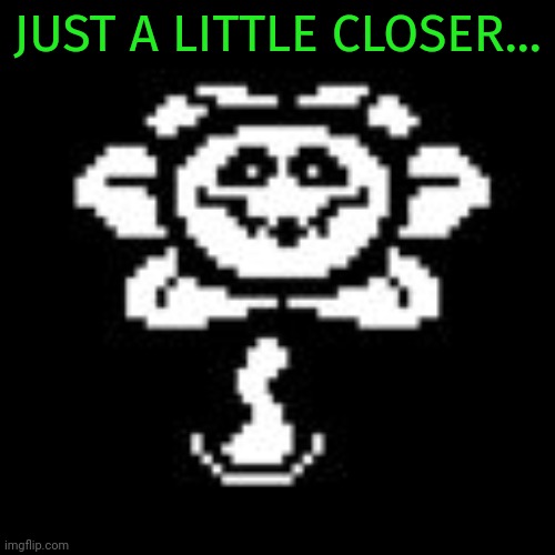 Flowey | JUST A LITTLE CLOSER... | image tagged in flowey | made w/ Imgflip meme maker