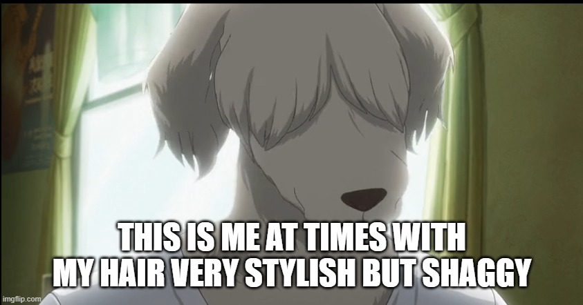 shaggy me | THIS IS ME AT TIMES WITH MY HAIR VERY STYLISH BUT SHAGGY | image tagged in memes,furries | made w/ Imgflip meme maker