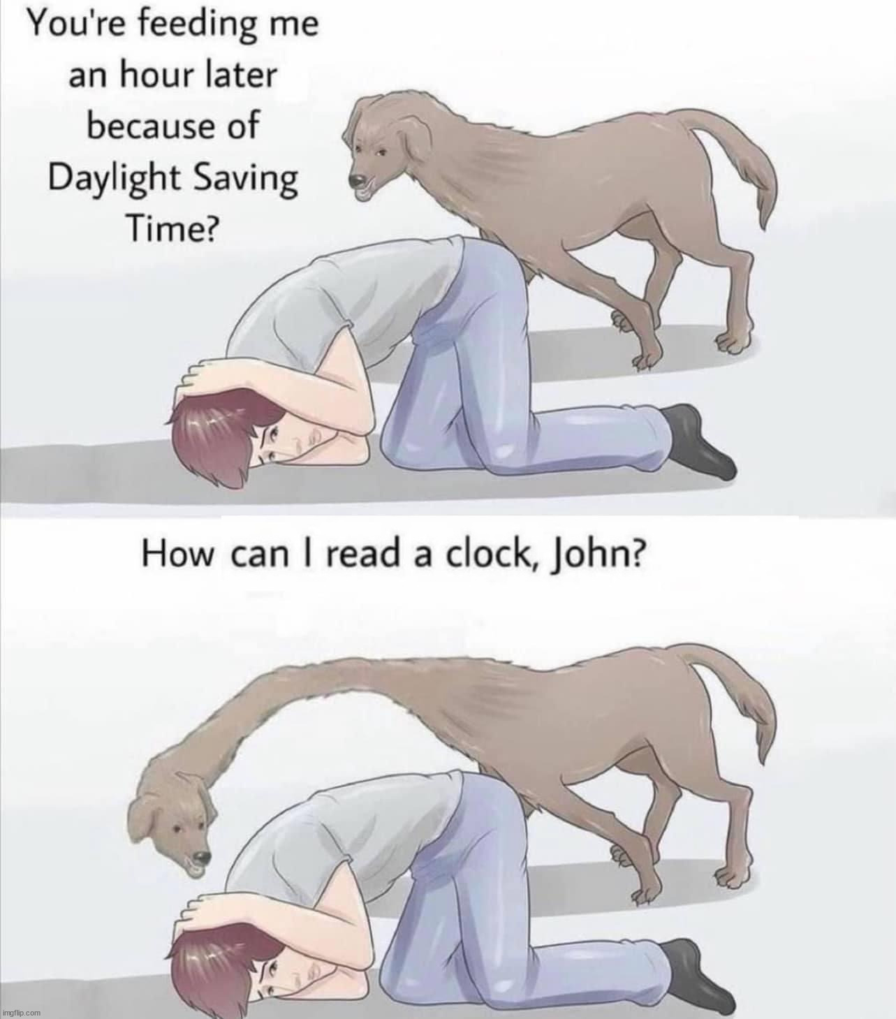 Dog's don't get the daylight savings crap either. | image tagged in frontpage | made w/ Imgflip meme maker