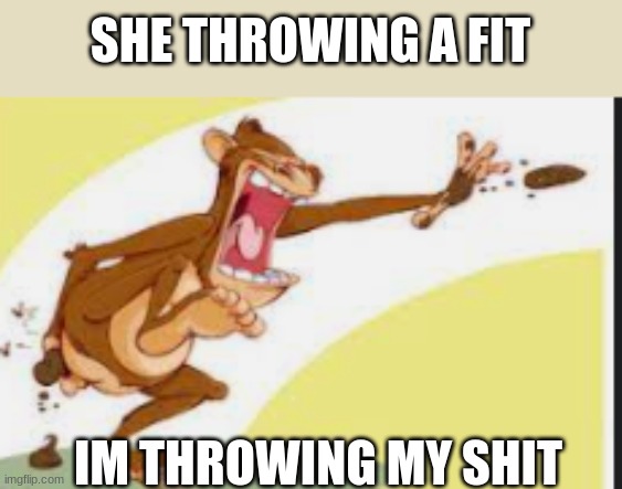 SHE THROWING A FIT; IM THROWING MY SHIT | made w/ Imgflip meme maker