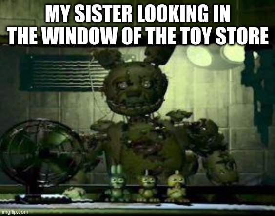 FNAF Springtrap in window | MY SISTER LOOKING IN THE WINDOW OF THE TOY STORE | image tagged in fnaf springtrap in window,sister,siblings | made w/ Imgflip meme maker