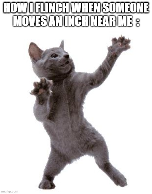 oof | HOW I FLINCH WHEN SOMEONE MOVES AN INCH NEAR ME  : | image tagged in happy dance cat | made w/ Imgflip meme maker