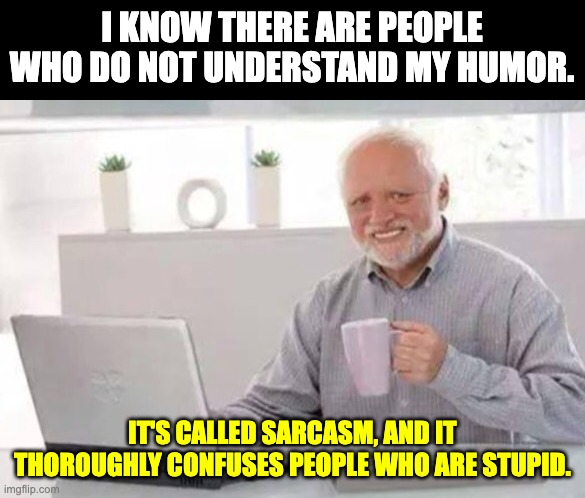 Humor | I KNOW THERE ARE PEOPLE WHO DO NOT UNDERSTAND MY HUMOR. IT'S CALLED SARCASM, AND IT THOROUGHLY CONFUSES PEOPLE WHO ARE STUPID. | image tagged in harold | made w/ Imgflip meme maker