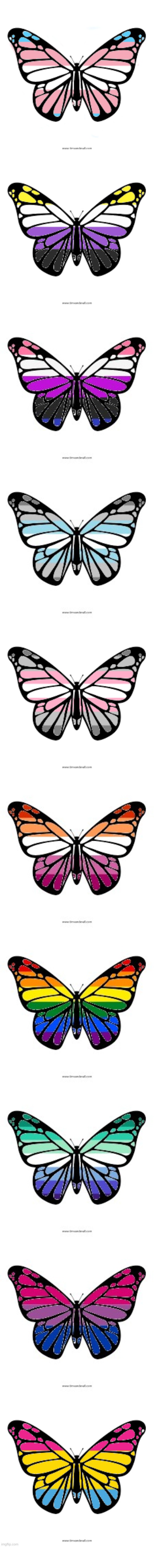 I made LGBTQ butterflies!! (let me know if you wanna see some different one :> ) | made w/ Imgflip meme maker