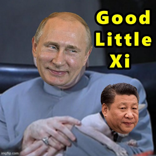 Dr Evil and Mr Bigglesworth Plot Their Next Move | image tagged in dr evil,memes,putin,president xi,china,russia | made w/ Imgflip meme maker