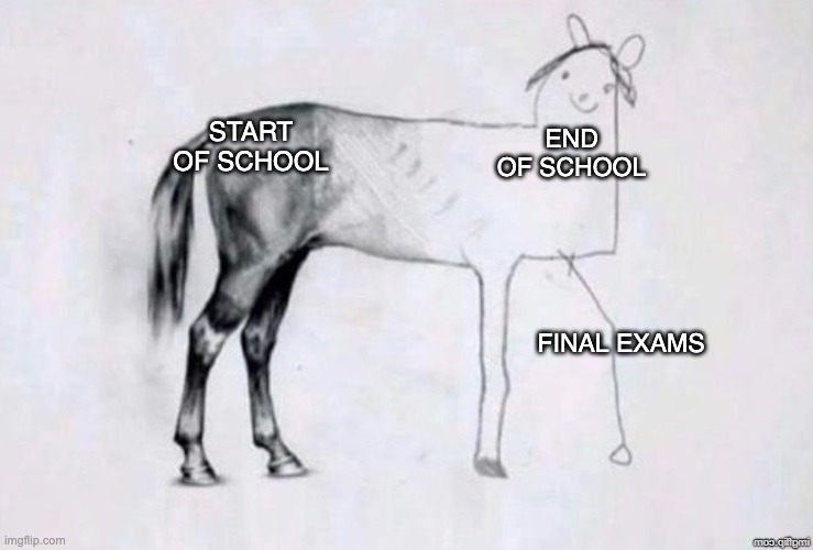 Relatable anyone? | START OF SCHOOL; END OF SCHOOL; FINAL EXAMS | image tagged in horse drawing,school,memes,funny,horse | made w/ Imgflip meme maker