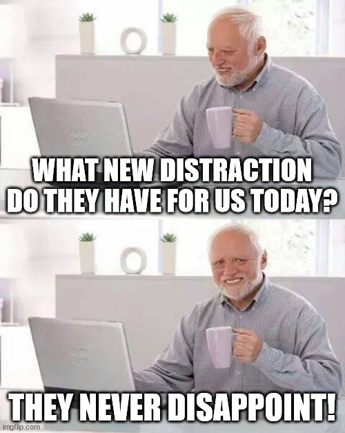 Hide the Pain Harold Meme | WHAT NEW DISTRACTION DO THEY HAVE FOR US TODAY? THEY NEVER DISAPPOINT! | image tagged in memes,hide the pain harold | made w/ Imgflip meme maker