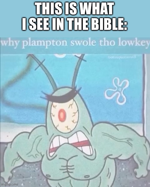Why plampton stole tho lowkey | THIS IS WHAT I SEE IN THE BIBLE: | image tagged in why,spongebob squarepants | made w/ Imgflip meme maker