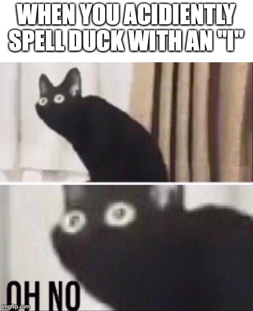 Might take some brain cells to understand! | WHEN YOU ACIDIENTLY SPELL DUCK WITH AN "I" | image tagged in oh no cat,funny,barney will eat all of your delectable biscuits,cats,memes | made w/ Imgflip meme maker