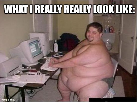 really fat guy on computer | WHAT I REALLY REALLY LOOK LIKE: | image tagged in really fat guy on computer | made w/ Imgflip meme maker