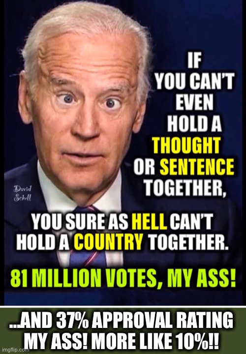 Biden the failure! | …AND 37% APPROVAL RATING MY ASS! MORE LIKE 10%!! | image tagged in joe biden,democrats,liberals,president,memes | made w/ Imgflip meme maker