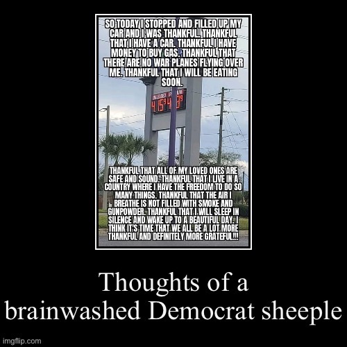 Thoughts of a brainwashed Democrat sheeple | image tagged in thoughts of a brainwashed democrat sheeple | made w/ Imgflip meme maker