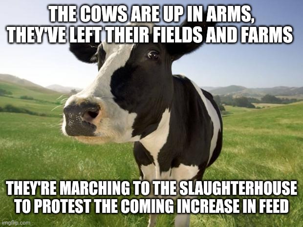 Never seen beef prices not directly follow fuel prices | THE COWS ARE UP IN ARMS, THEY'VE LEFT THEIR FIELDS AND FARMS; THEY'RE MARCHING TO THE SLAUGHTERHOUSE TO PROTEST THE COMING INCREASE IN FEED | image tagged in cow,joseph stalin,meat shortages,nwo | made w/ Imgflip meme maker