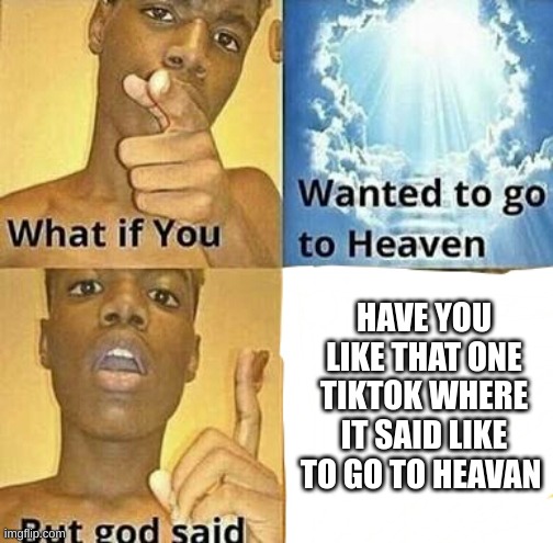 idk why i made this | HAVE YOU LIKE THAT ONE TIKTOK WHERE IT SAID LIKE TO GO TO HEAVAN | image tagged in what if you wanted to go to heaven,unfunny,memes | made w/ Imgflip meme maker
