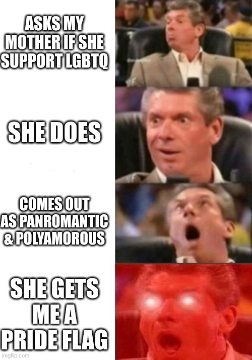 The last part hasnt happened yet, but the rest has ^w^ | ASKS MY MOTHER IF SHE SUPPORT LGBTQ; SHE DOES; COMES OUT AS PANROMANTIC & POLYAMOROUS; SHE GETS ME A PRIDE FLAG | image tagged in mr mcmahon reaction | made w/ Imgflip meme maker