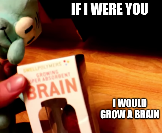 If I were you, I would grow a brain Blank Meme Template