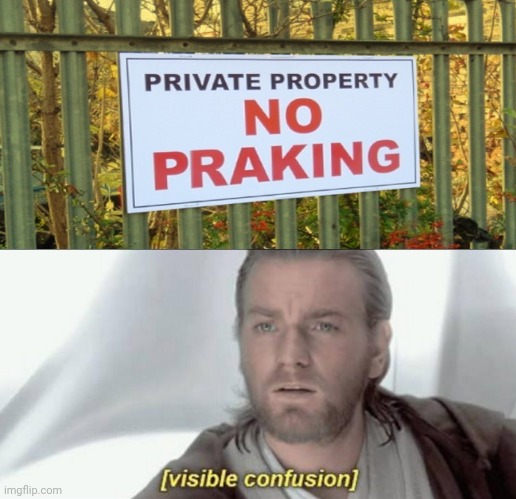 No Praking (No Parking) | image tagged in visible confusion,funny,memes,you had one job,you had one job just the one,wait what | made w/ Imgflip meme maker