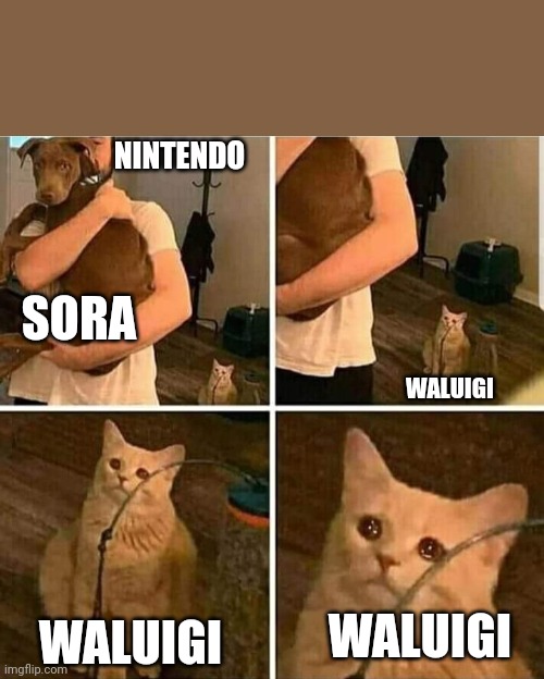 Sora was originally Sony and Disney collab so that makes it worse |  NINTENDO; SORA; WALUIGI; WALUIGI; WALUIGI | image tagged in sad cat holding dog | made w/ Imgflip meme maker