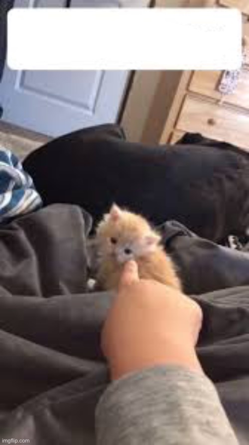 Caption this ( this is now a temp  ) | made w/ Imgflip meme maker