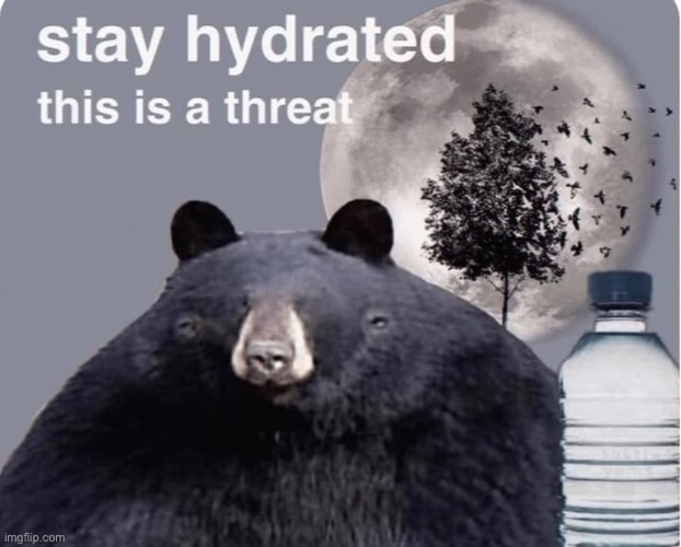 The bear appears | image tagged in stay hydrated this is a threat | made w/ Imgflip meme maker