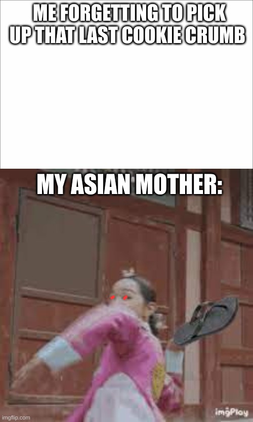 Asian mother with the slipper | ME FORGETTING TO PICK UP THAT LAST COOKIE CRUMB; MY ASIAN MOTHER: | image tagged in fun,child abuse | made w/ Imgflip meme maker