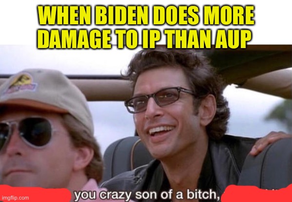 you crazy son of a bitch, you did it | WHEN BIDEN DOES MORE DAMAGE TO IP THAN AUP | image tagged in you crazy son of a bitch you did it | made w/ Imgflip meme maker