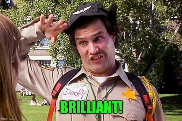 Special Officer Doofy | BRILLIANT! | image tagged in special officer doofy | made w/ Imgflip meme maker
